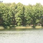 zdjęcie nr 187