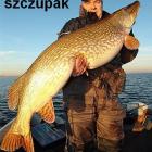 Holenderski szczupak 21 kg