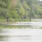 zdjęcie nr 44