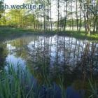 staw