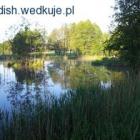zdjęcie nr 7
