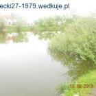 zdjęcie nr 10