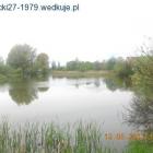 Fotka nr 4 z 14