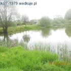 Fotka nr 5 z 14