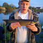 Drugi amurek 48 cm