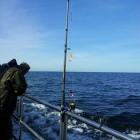 Fishing