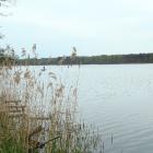 Północno-wschodnia część łowiska i widok na pas trzcinowisk. Wędkarz, który chwilę...