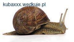 Fotka nr 0 z 1