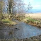 Fotka nr 5 z 6