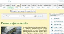 Fotka nr 0 z 4