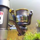 Fotka nr 2 z 6
