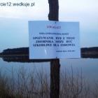 zdjęcie nr 14