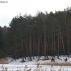 Widok na zimowe kąpielisko