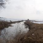 prostka
