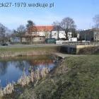 zdjęcie nr 8