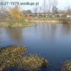 Fotka nr 3 z 11
