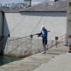 Fotka nr 1 z 2