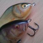 Salmo Slider.