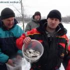 zdjęcie nr 17