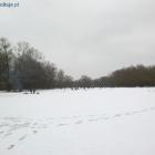 zdjęcie nr 17