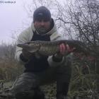 ... szczupak, największy w 2012 roku - 3,1 kg. ...