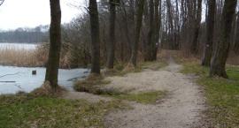 Plaża nad jeziorem