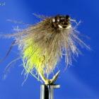CDC Caddis Pupa V - WK 2