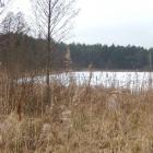 zdjęcie nr 9
