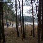 Widok na plażę