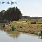 zdjęcie nr 8