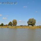 Fotka nr 5 z 16