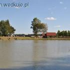 zdjęcie nr 12