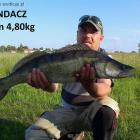zdjęcie nr 7