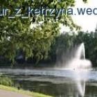 zdjęcie nr 7