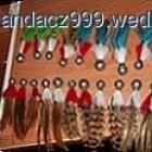 zdjęcie nr 1