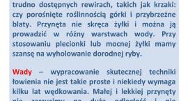 Fotka nr 0 z 2