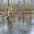 zdjęcie nr 8