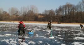 Kromszewice 2012
