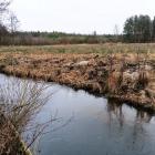 Tu było naturalne tarlisko! Teraz pozbawione kamieni i żwiru jest rowem...