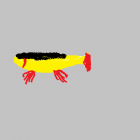 Fotka nr 2 z 3