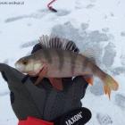 zdjęcie nr 7