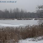 Fotka nr 2 z 6