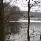 zdjęcie nr 7
