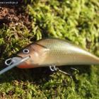 Perch 9 cm- mój trollingowy pewniak.