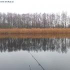 Fotka nr 1 z 6