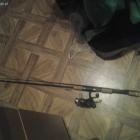 Fotka nr 3 z 17