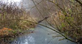 Mydelniczka