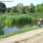 zdjęcie nr 8