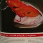 zdjęcie nr 9
