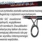 Fotka nr 2 z 4